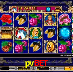 pvbet Brasília - Casino Guide